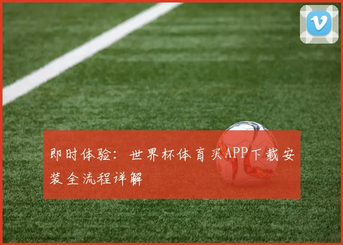 即时体验：世界杯体育买APP下载安装全流程详解