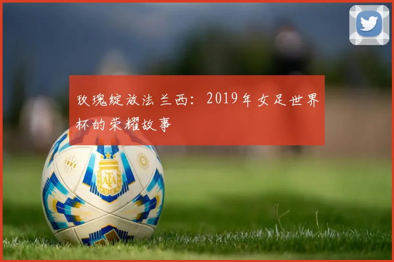 玫瑰绽放法兰西：2019年女足世界杯的荣耀故事