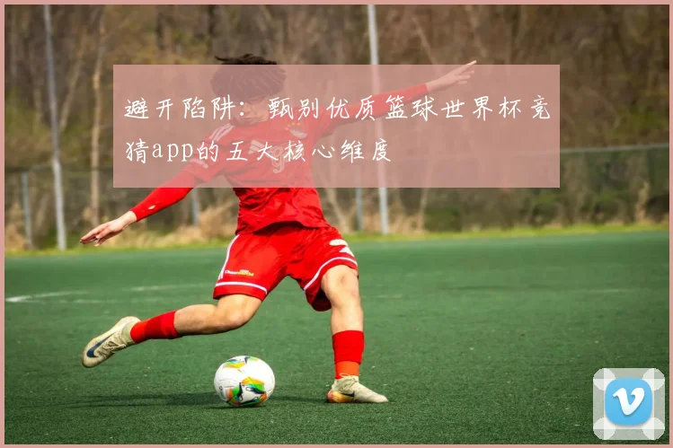 避开陷阱：甄别优质篮球世界杯竞猜app的五大核心维度