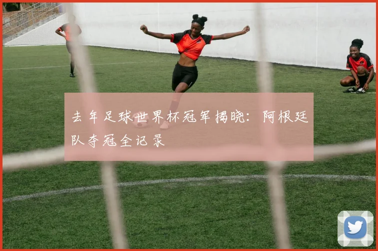 去年足球世界杯冠军揭晓：阿根廷队夺冠全记录