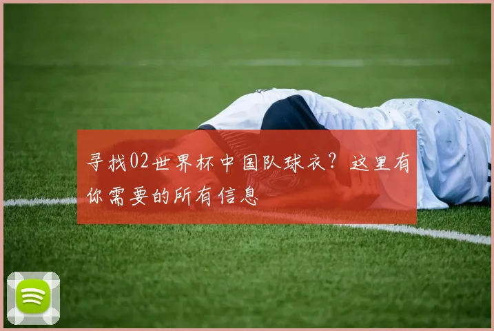 寻找02世界杯中国队球衣？这里有你需要的所有信息